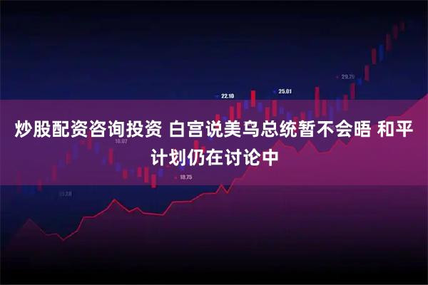 炒股配资咨询投资 白宫说美乌总统暂不会晤 和平计划仍在讨论中