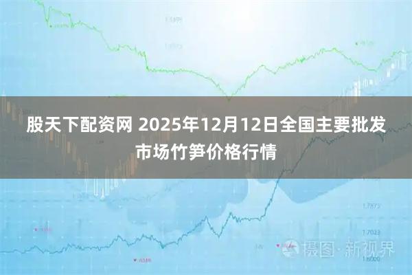 股天下配资网 2025年12月12日全国主要批发市场竹笋价格行情