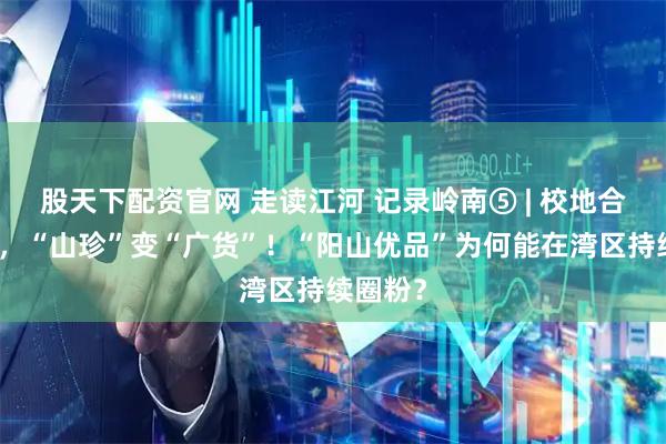 股天下配资官网 走读江河 记录岭南⑤ | 校地合作搭台,“山珍”变“广货”!“阳山优品”为何能在湾区持续圈粉?